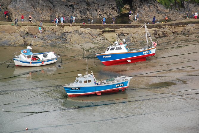 Half-Day Private Doc Martin and Fisherman's Friends Tour - A private vehicle makes the day easier