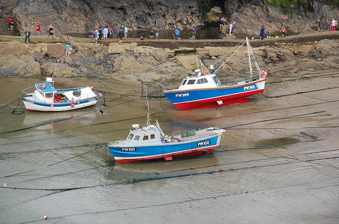 Half-Day Private Doc Martin and Fisherman's Friends Tour - What the price includes, and what it does not