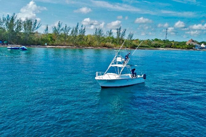 Half Day Private Fishing Charter in Cozumel - El Cielo, stingrays, and starfish