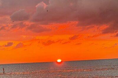 Half Day Private Fishing Trip with Site Seeing Around Anna Maria Island