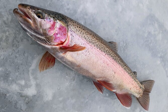 Half Day Private Guided Ice Fishing Trip in the Yukon - How sonar changes the fishing