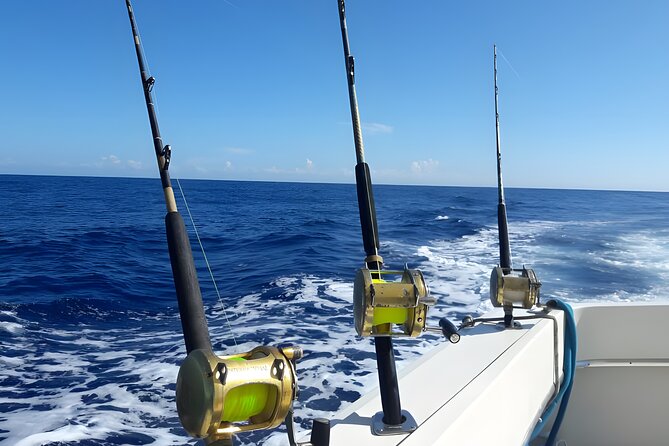 Half Day Sport Fishing Excursion Departing from Sosua - Gear, Crew Help, and the Fish You Keep