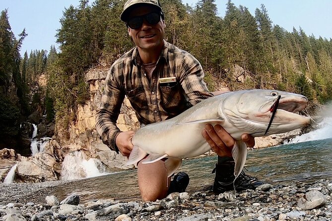 Half Day Walk&Wade (Fly-Fishing / Spin Casting from shore) - Fishing the Columbia Valley from the riverbank