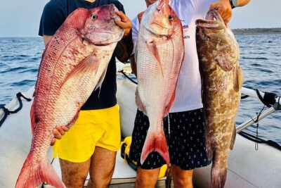 Half-seabed or rod fishing tour with bolentino