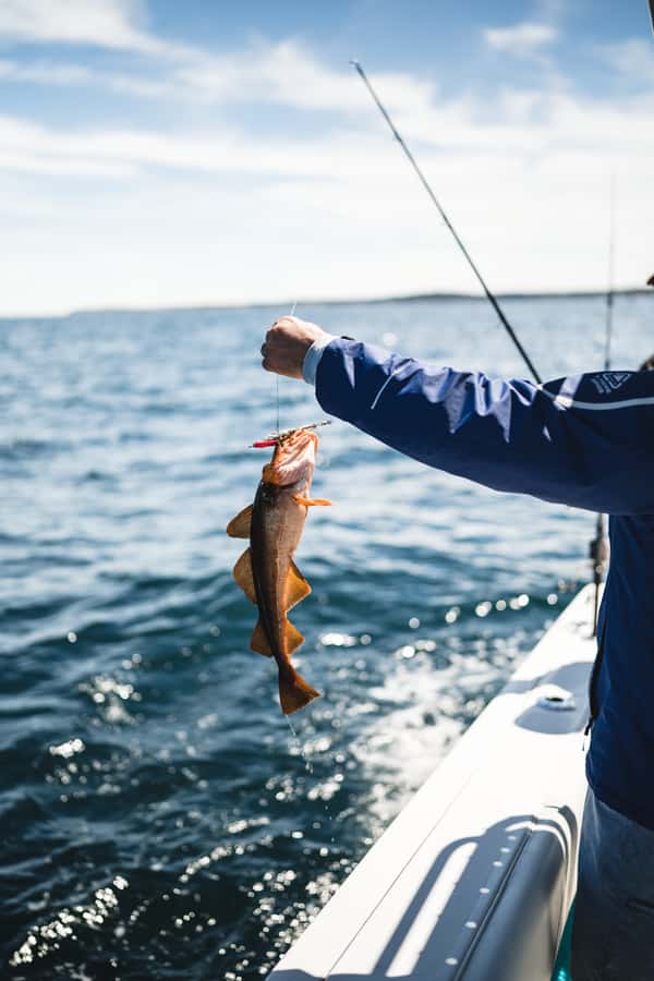Halifax: 2-Hour Deep Sea Fishing Tour - Who will enjoy this Halifax fishing tour?