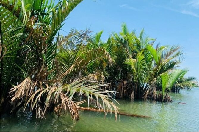 Hoi An Farming And Fishing Life - A half-day in Hoi An’s working countryside