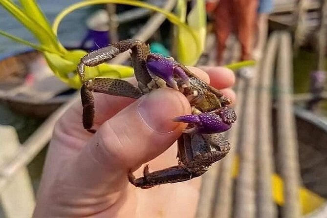 Hoi An Fishing Tour Private-Lantern /Cafe Making Class by Lunch - Key points to know before booking
