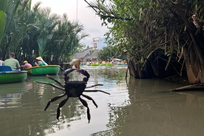 HoiAn:Making Lantern & Cooking Class-BasketBoat Ride,Crab fishing - Basket boats through the nipa palm forest