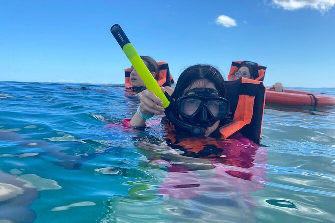 Holbox - Fishing & Snorkeling in Cabo Catoche with drinks & snack - Fresh ceviche made from your catch
