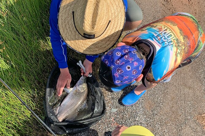 Hook-A-Barra Fishing and Farm Activity - Why this Daintree barra experience works