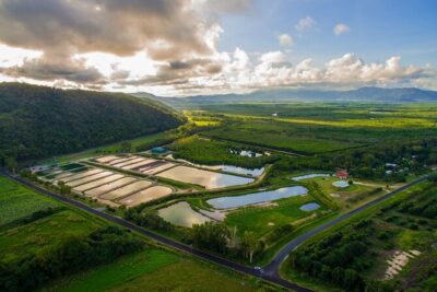 Hook-A-Barra Fishing and Farm Activity