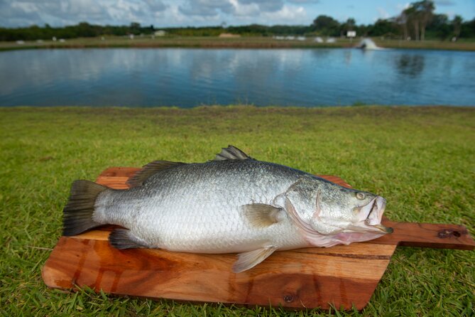 Hook-A-Barra Fishing and Farm Activity - Who will enjoy the two-and-a-half-hour format