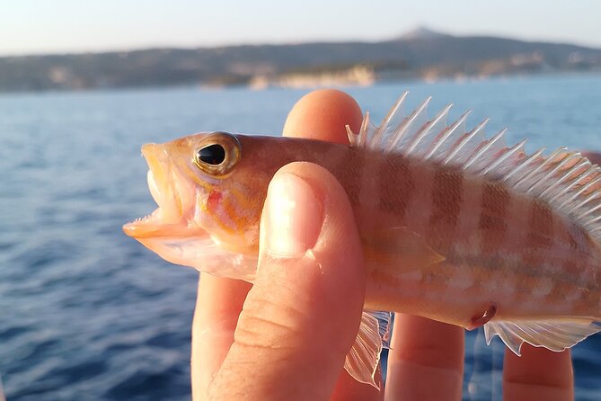 Hook Your Adventure Now with Chania Rod Fishing Experience - The parts I value most