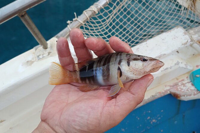 Hook Your Adventure Now with Chania Rod Fishing Experience - Food, coffee, and homemade treats on board