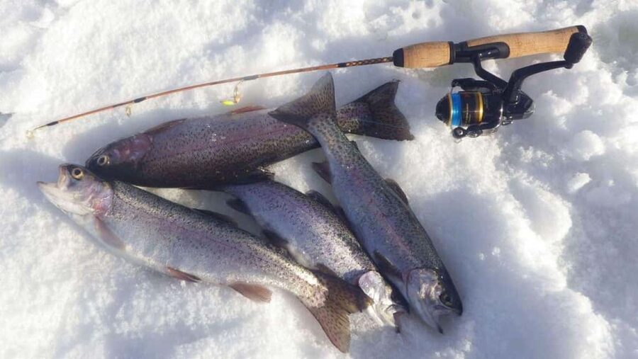 Ice Fishing Adventure in Levi with Salmon Soup - A practical three-hour plan