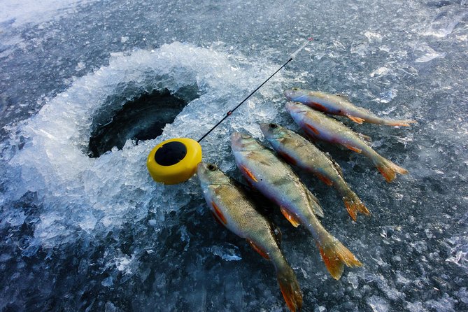 Ice Fishing and Husky - Salmon, Fire, and a Better Lunch Than Luck