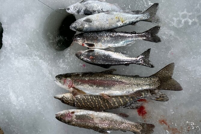 Ice Fishing in Fairbanks - Is the $155 Price Fair?