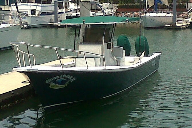 Inshore Fishing 4-Hour Puerto Vallarta Charter - A Realistic View of the Catch