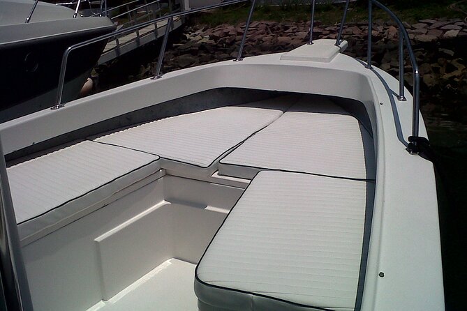 Inshore Fishing 4-Hour Puerto Vallarta Charter - The Fish You May Catch Inside the Bay