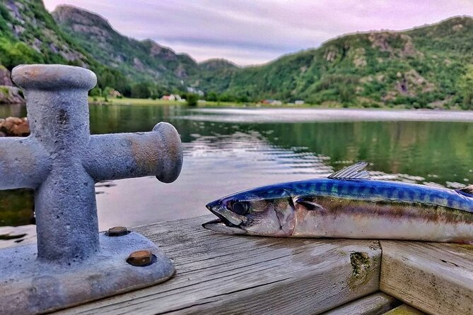 Inshore fishing in the Drangefjord - Setting out from Litlandstrand in Drange
