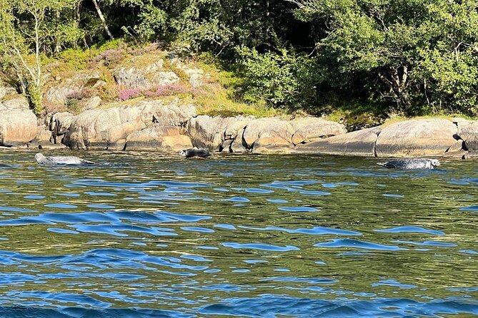 Inshore fishing in the Drangefjord - From the sea to the table