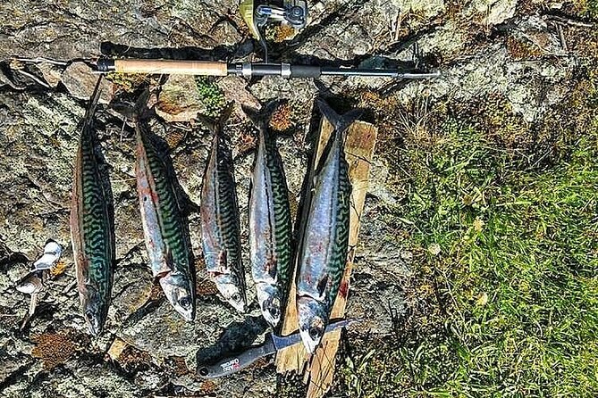 Inshore fishing in the Drangefjord - Price and private-tour value at $121.47