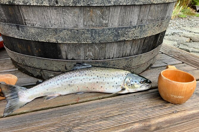 Inshore fishing in the Drangefjord - Timing, weather, and what to plan around