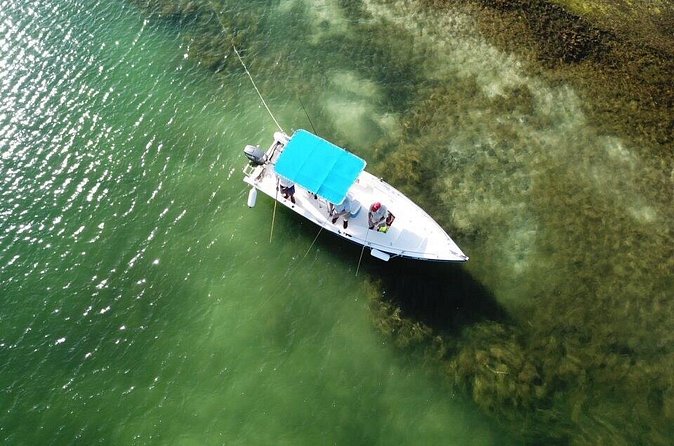 Inshore & Fly Fishing Punta Cana Private charter at Marina Cap Cana - Fishing gear, drinks, and what is included
