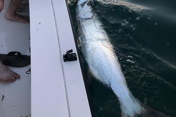 Inshore Sport Fishing with Local Guide - What to Wear and Bring