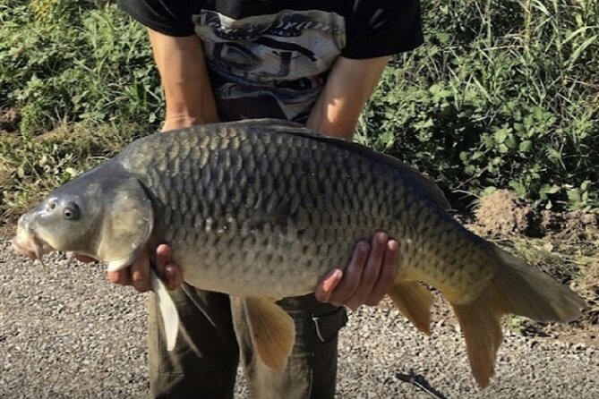 Introduction to fishing in Strasbourg - Key Points Before You Book