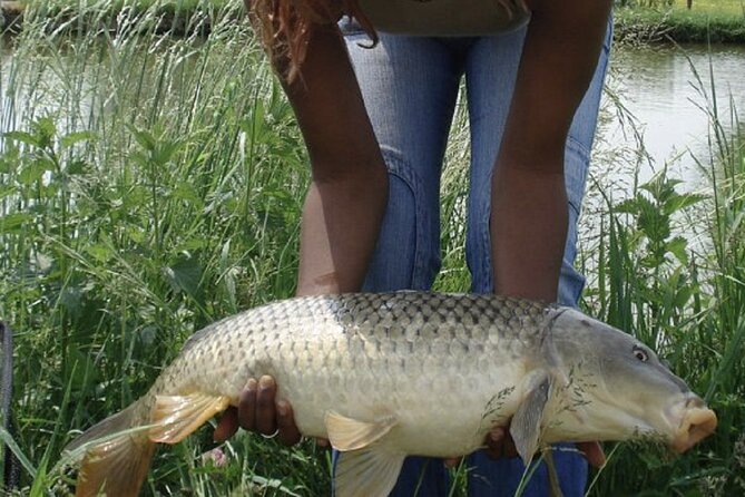 Introduction to fishing in Strasbourg - Is the $60.08 Price Good Value?