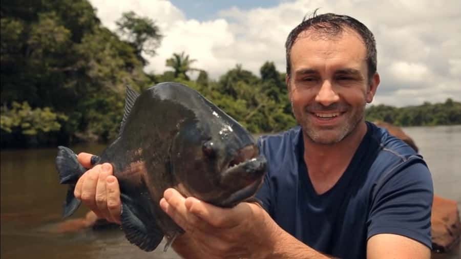 Iquitos: Piranha Fishing Experience in the Amazon jungle - Why piranha fishing works so well in Iquitos