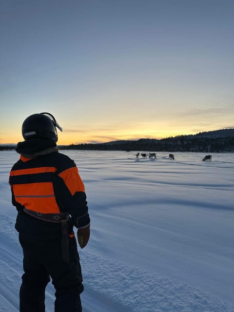 Ivalo: Ice Fishing Tour to Lake Inari, Reindeers & Lunch - Timing, comfort, and what to bring
