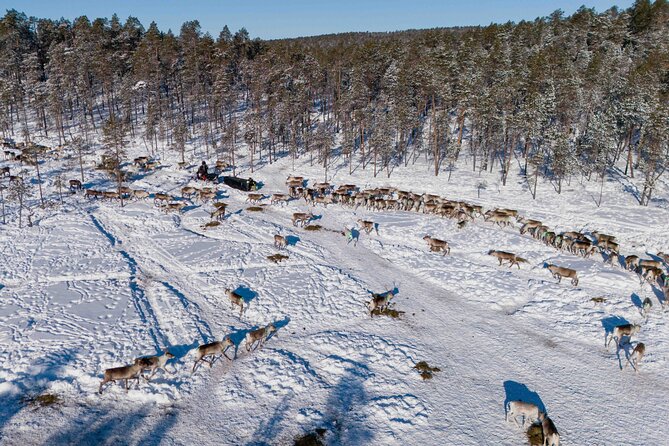 Ivalo: Reindeer herd and fishing experience - Staying warm and comfortable for six hours
