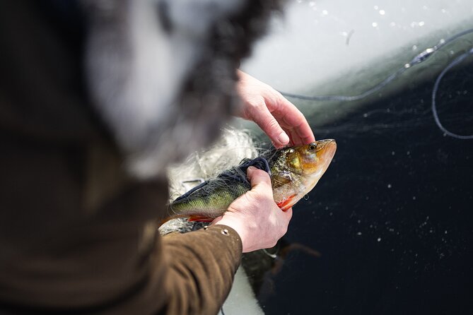 Ivalo: Reindeer herd and fishing experience - Warming up around the open fire