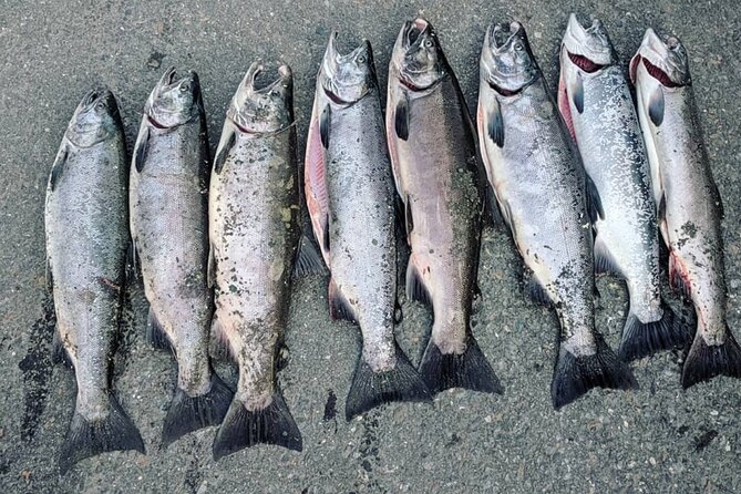 Juneau Shore Fishing Shuttle and Gear - Weather, footing, and what to wear
