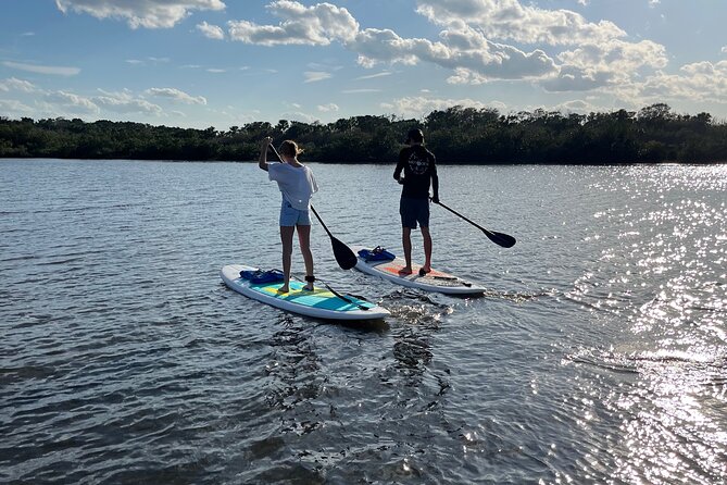 Kayak, paddle board, and fishing kayak rentals - Guided sightseeing in 90 minutes