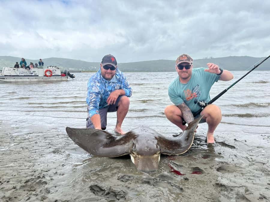 Knysna Lagoon Fishing Charter - Four Hours Among Knysna’s Estuary Fish
