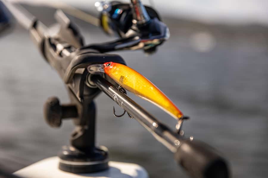 Knysna Lagoon Fishing Charter - Price, Catch Rates, and Real Value