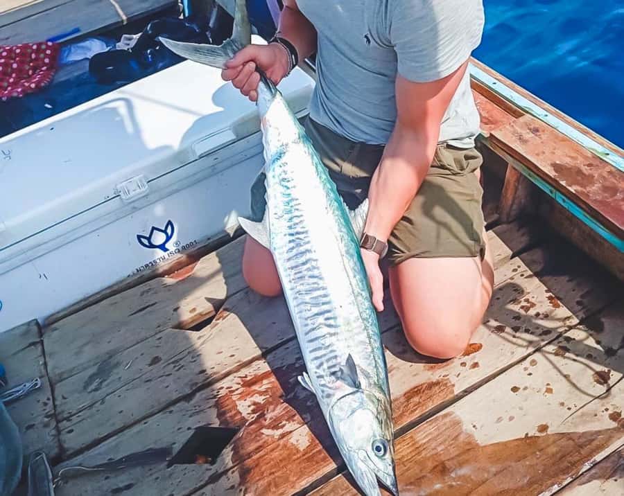 Ko Lanta: Exclusive Private Long-tail Boat Fishing Trip - Fruit, drinks, and the included lunch
