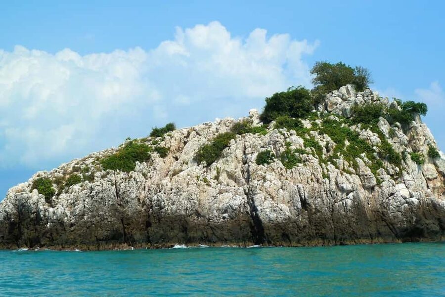 Koh Samui: Fishing Day Tour by Escort Boat with Mr. Tu - Pickup from Chaweng or Bophut