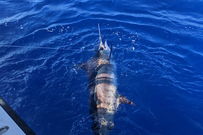 Kona - 5 Hours Private Fishing Charter in Kailua-Kona - The fish you might pursue