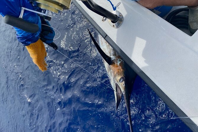 Kona - 5 Hours Private Fishing Charter in Kailua-Kona - Why the private format is worth considering