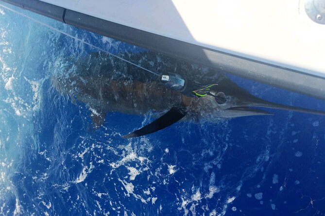 Kona - 5 Hours Private Fishing Charter in Kailua-Kona - Slow fishing is part of the experience
