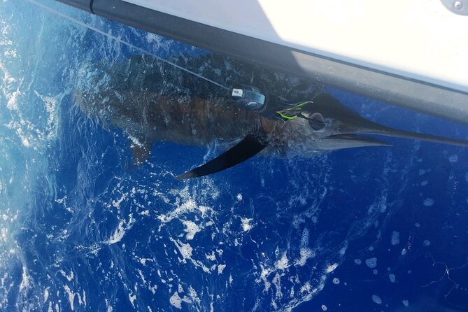 Kona - 6 Hour Private Fishing Charter Kona, Hawaii - Setting out from Slip G-2 in Kailua-Kona