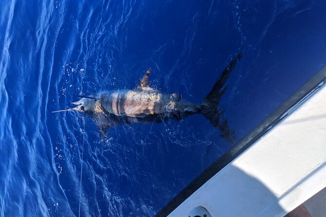 Kona - 6 Hour Private Fishing Charter Kona, Hawaii - Sun, motion, and what to bring