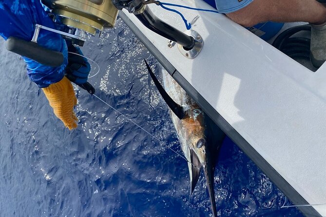 Kona - 8 Hour Private Fishing Charter in Kailua-Kona, Hawaii - A private charter changes the value