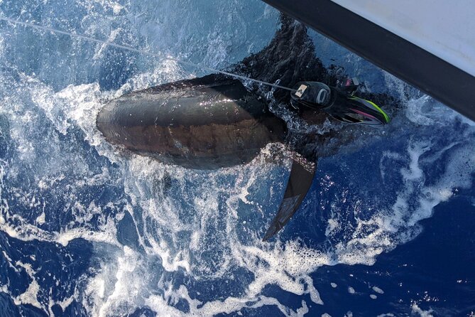 Kona - 8 Hour Private Fishing Charter in Kailua-Kona, Hawaii - The views are part of the day