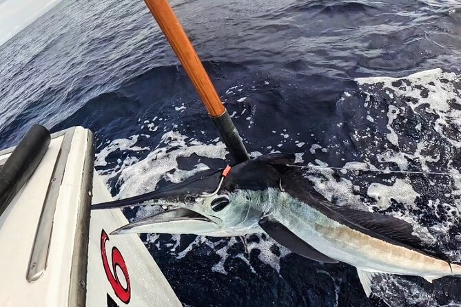Kona Hawaii Deep Sea Fishing Escapade on the Bite Me 6 - What the crew adds to the day