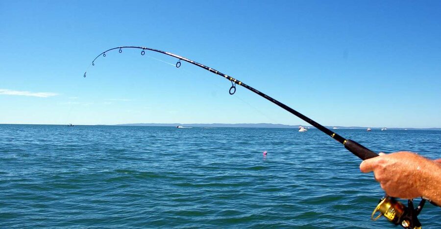 Kos: Fishing Trip Experience with a Greek Fisherman's Family - Visiting the best fishing areas near Kos